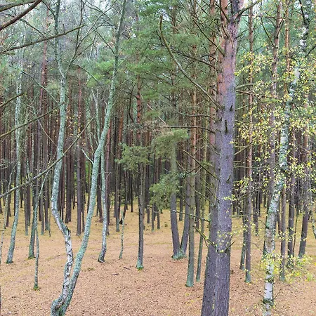 Sailor ベッド・アンド・ブレックファスト