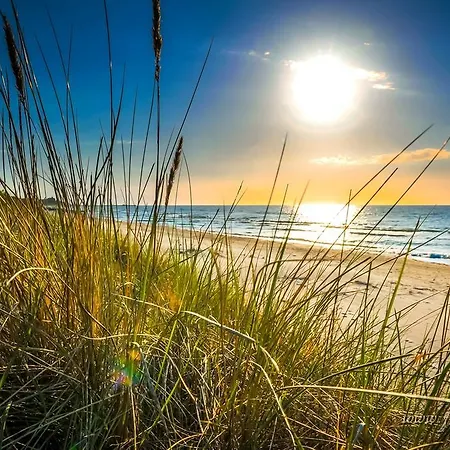 ベッド・アンド・ブレックファスト Sailor ウェバ