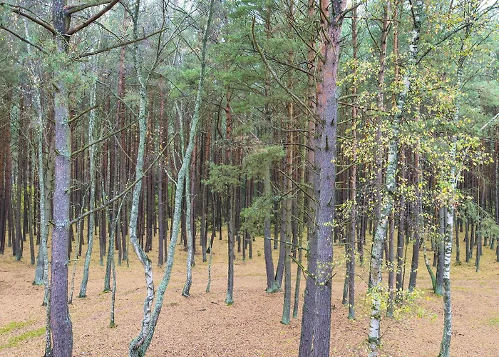 Sailor Nocleg ze śniadaniem